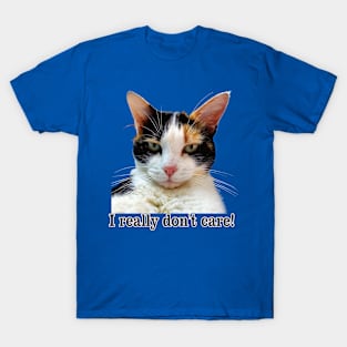 Cute Calico Cat with Attitude – I Really Don't care! T-Shirt